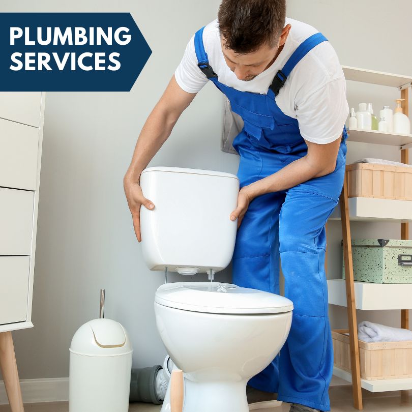 Plumbing Company in Montpelier, IA